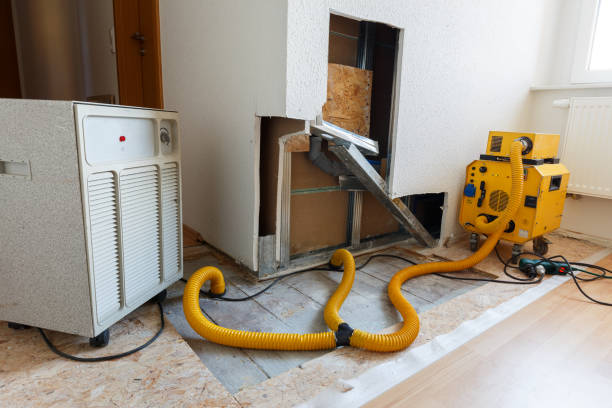 Best Water Damage & Mold Remediation  in West Swanzey, NH