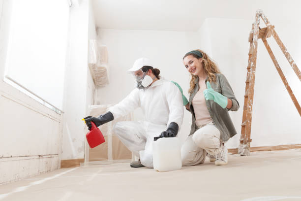 Trusted West Swanzey, NH Mold Removal Experts