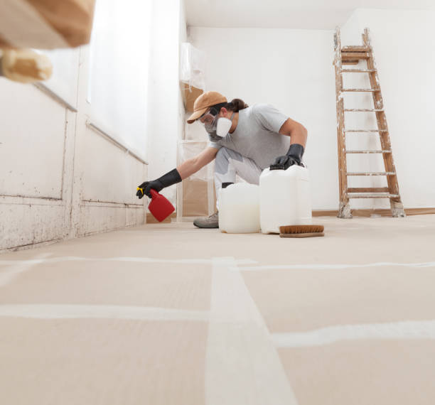 Best Forensic Mold Investigation  in West Swanzey, NH