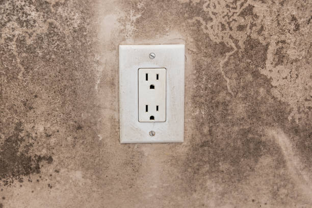 Best Forensic Mold Investigation  in West Swanzey, NH